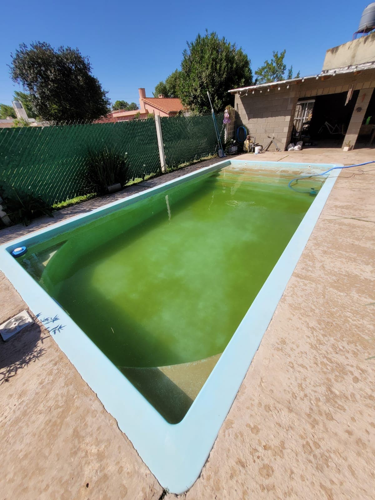 Piscina de fibra con el agua verde y turbia
