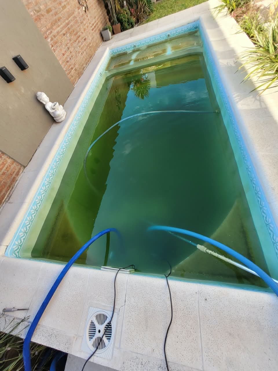 Piscina con el agua verde y turbia, con mangueras de limpieza adentro